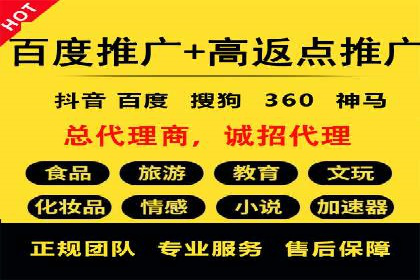 谷歌竞价案例：成功案例分析及启示